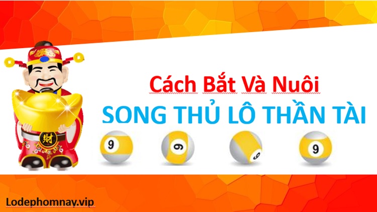 Cách bắt và nuôi 3 ngày con song thủ lô Miền Bắc